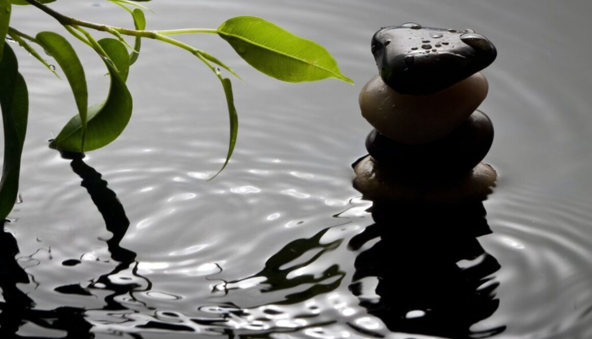 Green plant and pebbles with waterdrop and ripples
